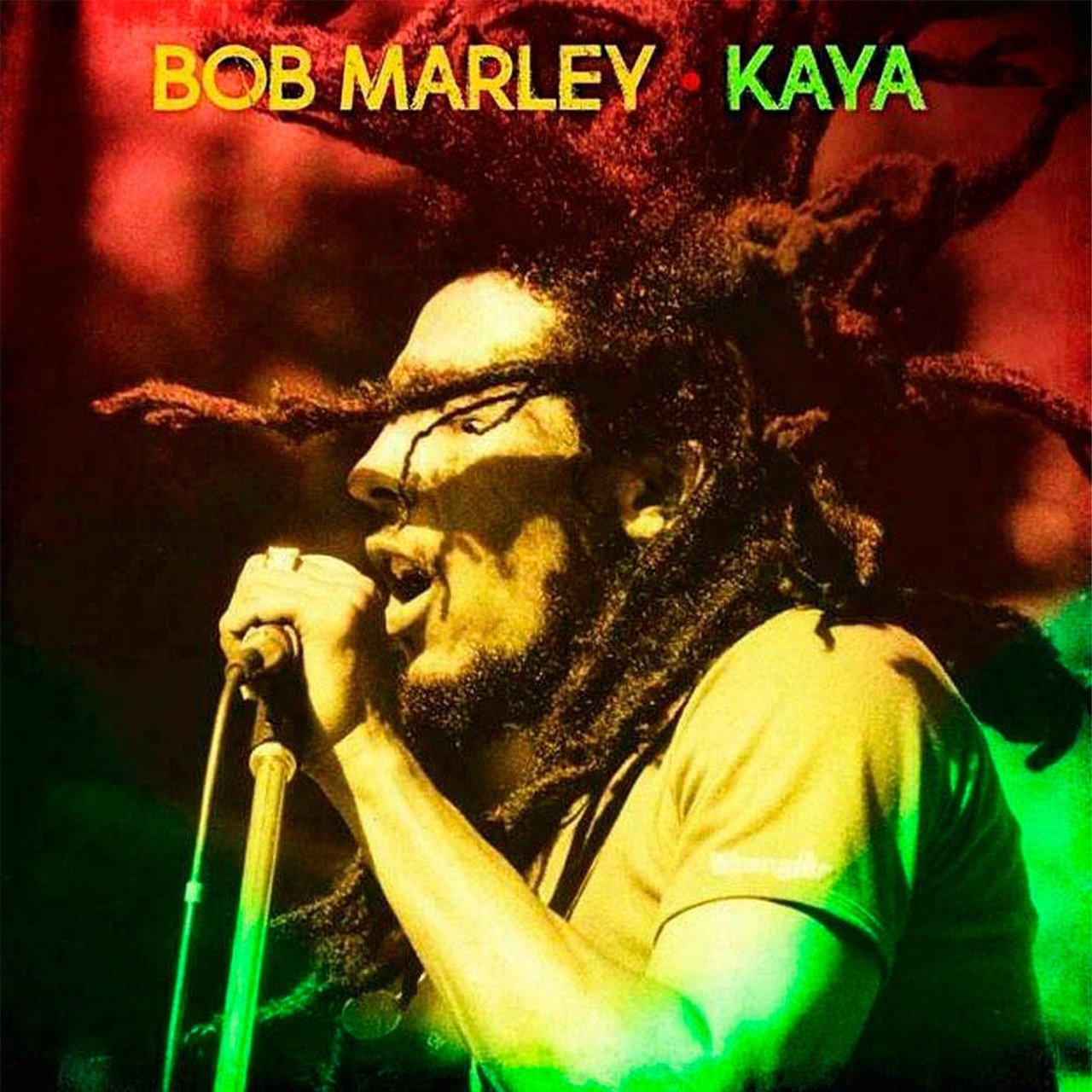 Виниловая пластинка Bob Marley - Kaya - купить в Казани в интернет-магазине  Pult.ru